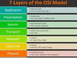 7 Model OSI Layer